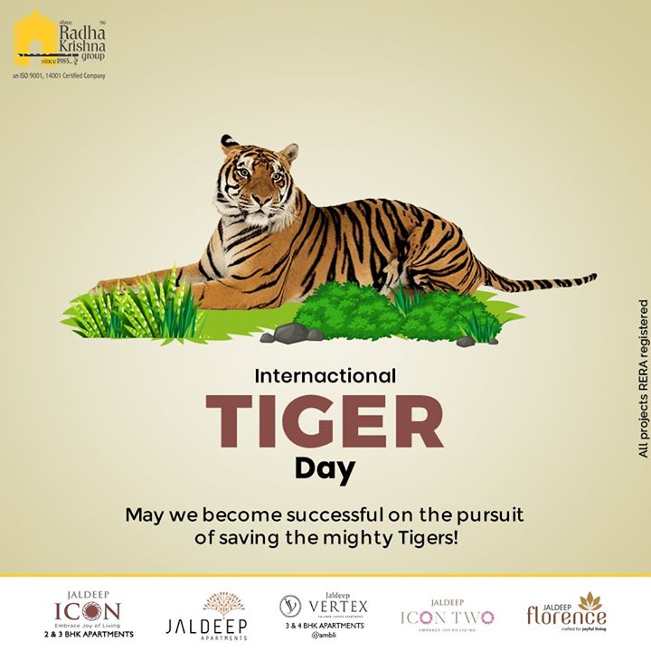 May we become successful on the pursuit of saving the mighty Tigers!

#InternationalTigerDay #InternationalTigerDay2020 #TigerDay #SaveTheTiger #Tigers #ShreeRadhaKrishnaGroup #Ahmedabad #RealEstate #SRKG