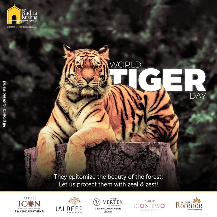 They epitomize the beauty of the forest;
Let us protect them with zeal & zest!

#Tigerday #InternationalTigerDay #InternationalTigerDay2022 #Tiger #Wildlife #SaveTigers #GlobalTigerDay #ShreeRadhaKrishnaGroup #RadhaKrishnaGroup #SRKG #Ahmedabad #RealEstate