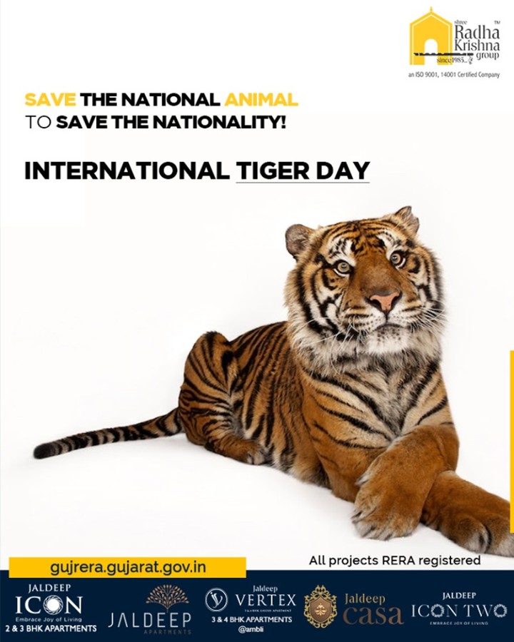 Save the national animal to save the nationality!

#InternationalTigerDay #WorldTigerDay #TigerDay #SaveTheTiger #Tigers #ShreeRadhaKrishnaGroup #Ahmedabad #RealEstate #SRKG