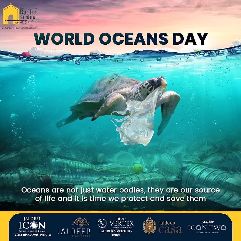 This World Oceans Day vouch to make the oceans a safer place for all its living inhabitants.

#WorldOceansDay #WorldOceansDay2020 #OceansDay #SRKG #ShreeRadhaKrishnaGroup #Ahmedabad #RealEstate