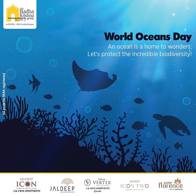 An ocean is a home to wonders;
Let's protect the incredible biodiversity!

#WorldOceanDay #WorldOceanDay2022 #OceanDay #OceanDay2022 #SaveThePlanet #SaveOurSeas #ShreeRadhaKrishnaGroup #RadhaKrishnaGroup #SRKG #Ahmedabad #RealEstate