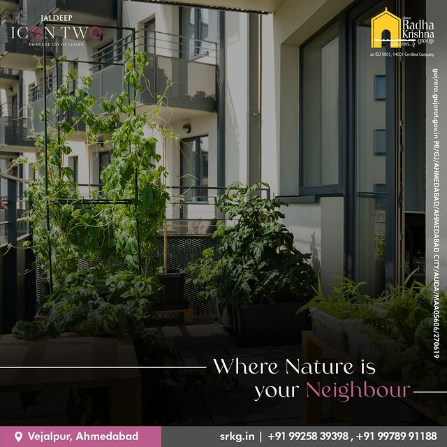 Home, where nature becomes your neighbour, inviting you to embrace a healthy and green life. Experience the harmony of living amidst nature's embrace, nurturing your well-being and flourishing in serenity.

#IconicLifestyle #ExclusiveHomes #RedfeningLuxury #LuxuryHomes #IconicHomes #LuxuryLifestyle #LuxuryRealestate #JaldeepIconTwo #Amenities #Luxurious #Living #RadhaKrishnaGroup #ShreeRadhaKrishnaGroup #Jivrajpark #Ahmedabad #Realestate #SRKG